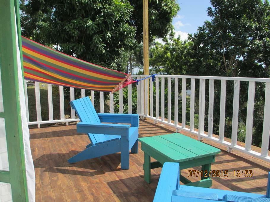 Kingsworth Bed And Breakfast Кингстон Экстерьер фото